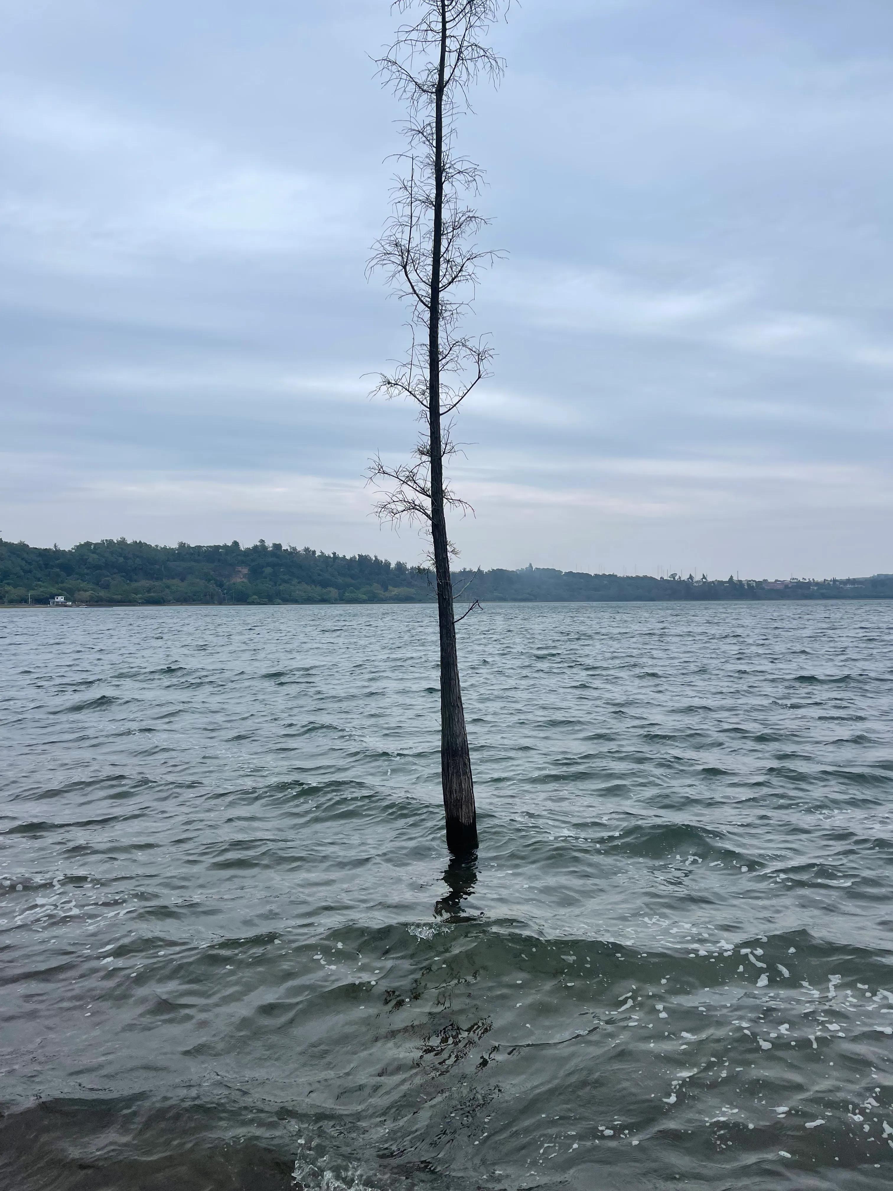 云南旅居养老最好的地方,海南旅居养老基地排前十名