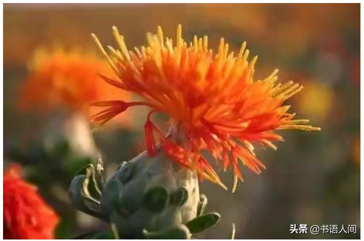 古代女子的化妆用什么来上底妆,一分钟看懂古代女性妆容