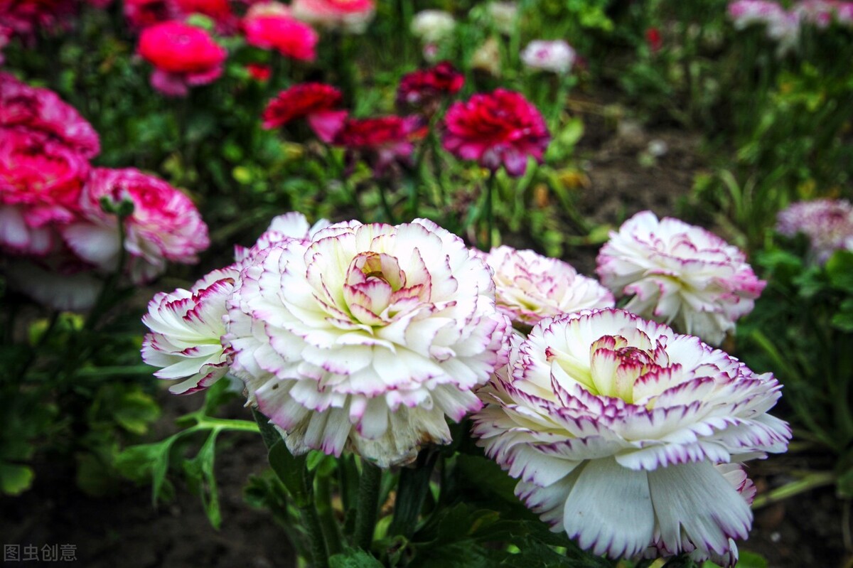 郭进拴走进静升镇,郭进拴原创长篇