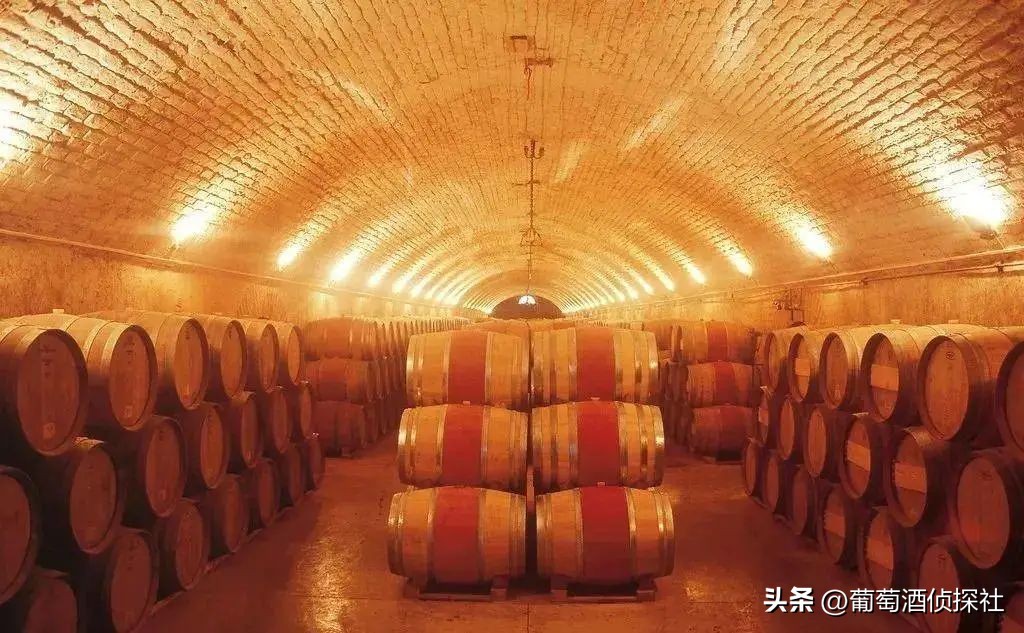 正宗葡萄酒酿造法,葡萄酒酿造步骤精简