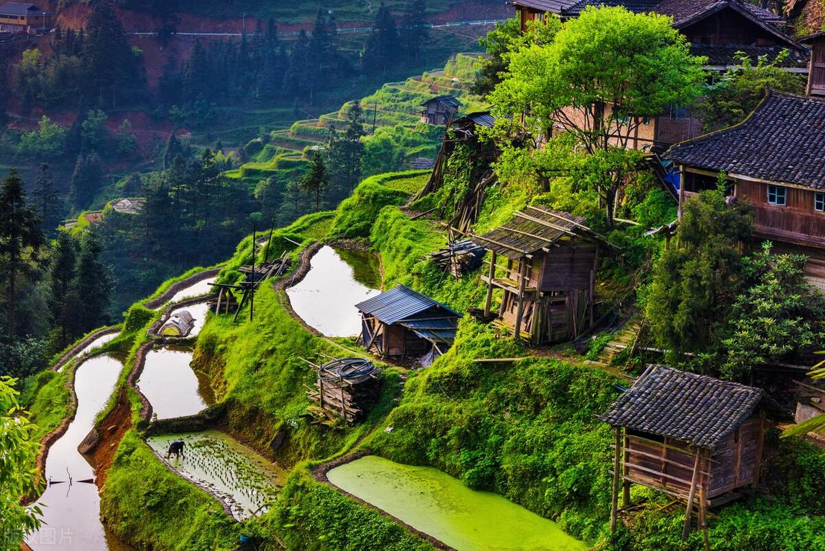 农村将迎大变化,农民在农村未来5年如何发展