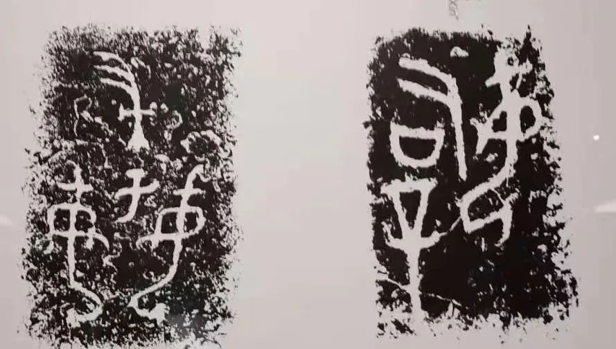 涓浗濂冲皢鍐涘涓彂鐜颁竴绉嶉櫔钁搧,鍟嗘湞濂冲皢鍐涘鍙戞帢