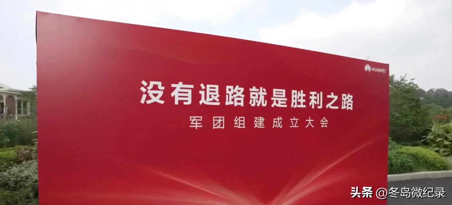 中国华为，国芯至伟！