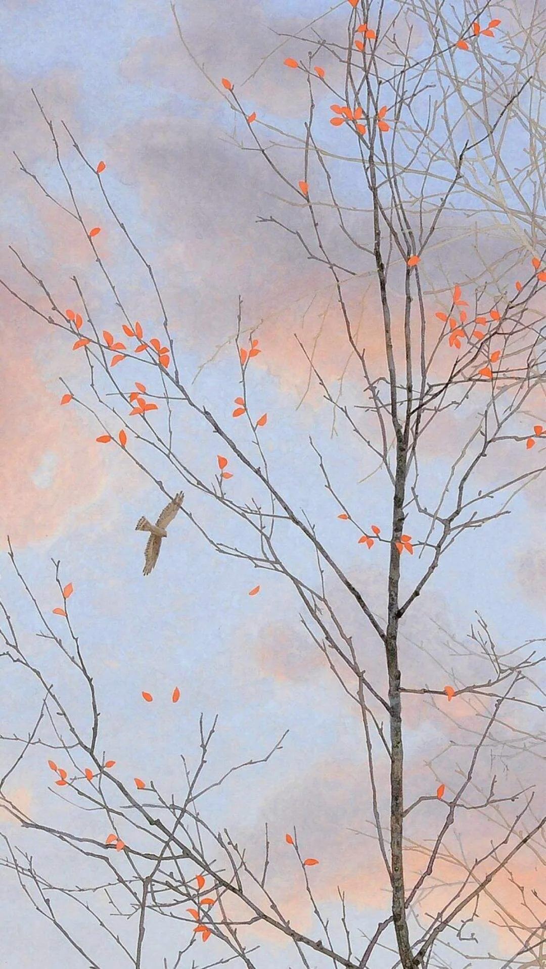 岁月漫长然而值得等待什么意思,总之岁月漫长然而值得等待配图