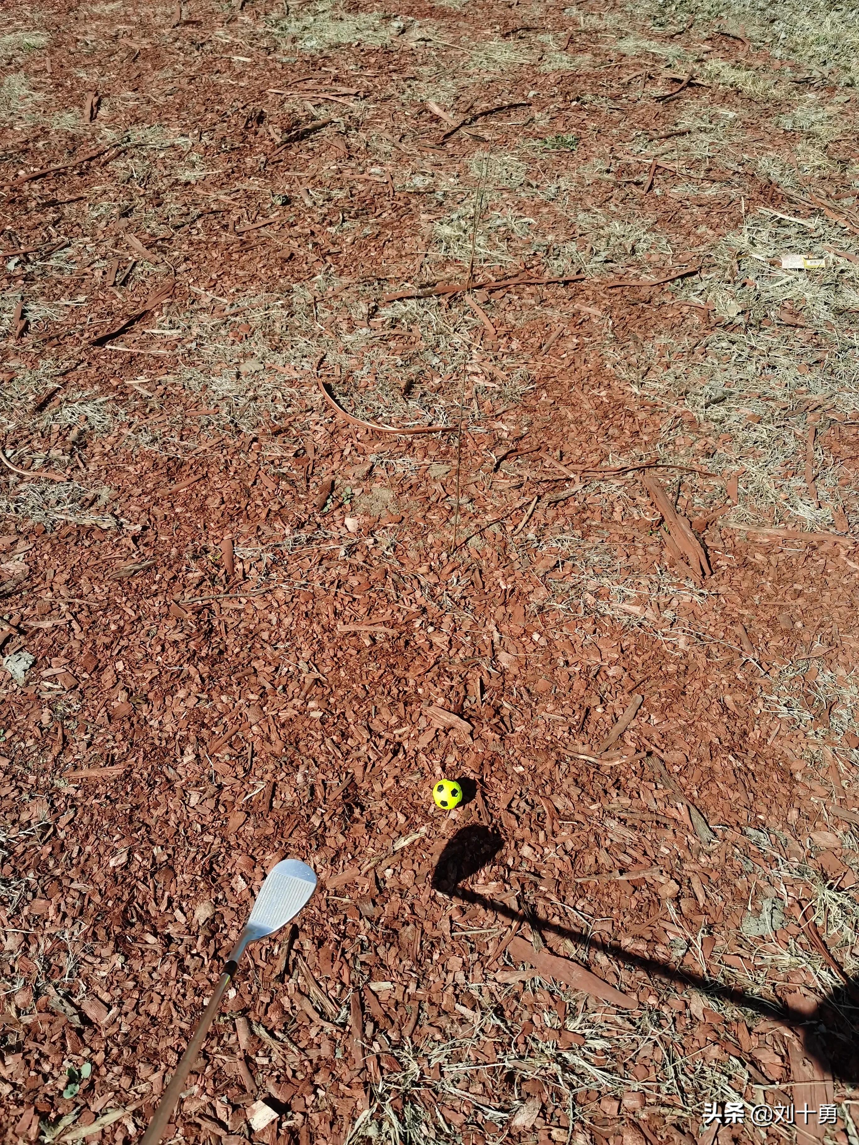 高尔夫球新规什么情况下可以动球,高尔夫球新规什么时候改的