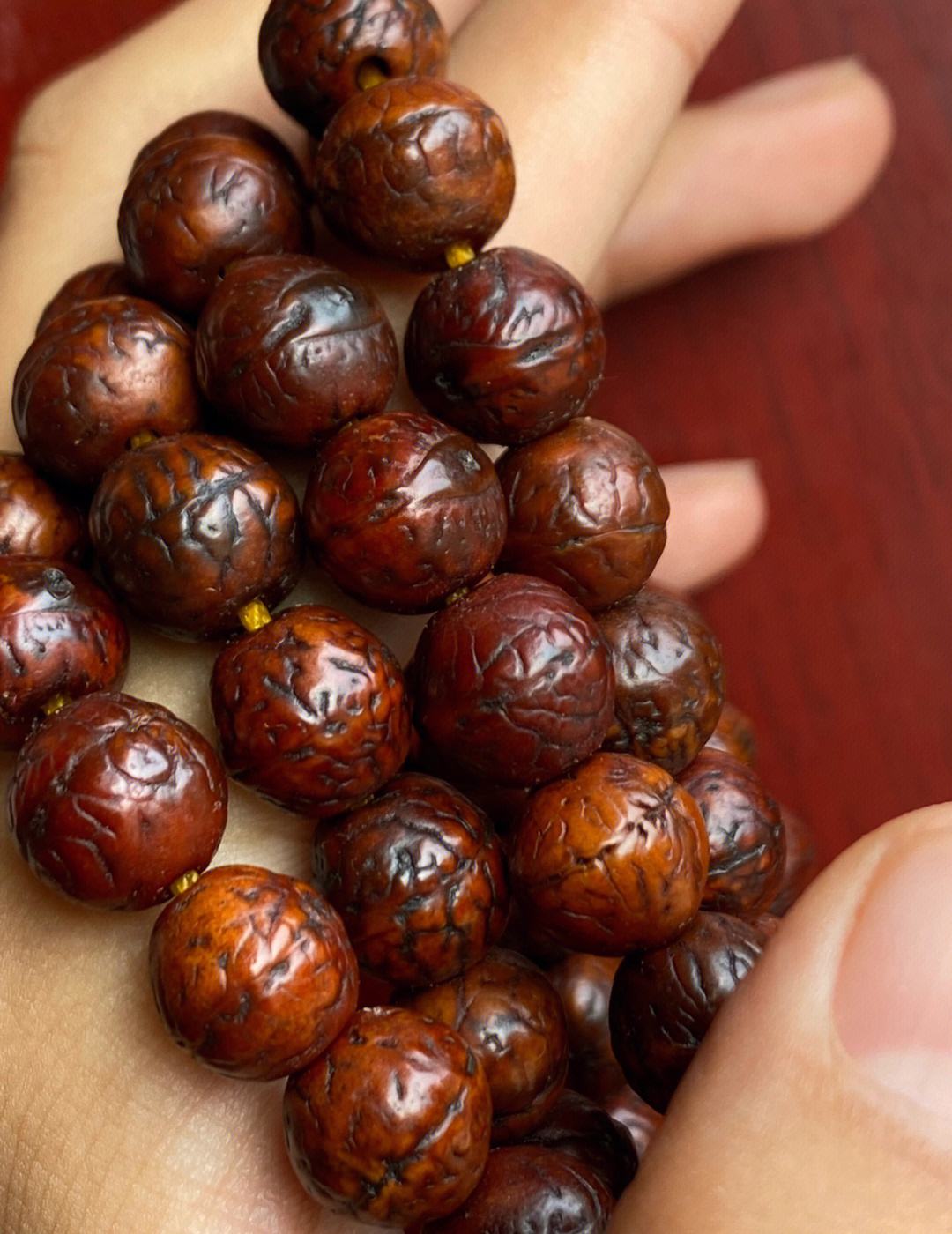 凤眼菩提尺寸和质量,尼泊尔凤眼菩提什么样的品相最好