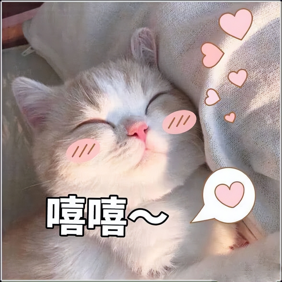 猫咪正常体重对照年龄阶段,猫咪年龄怎么看图解