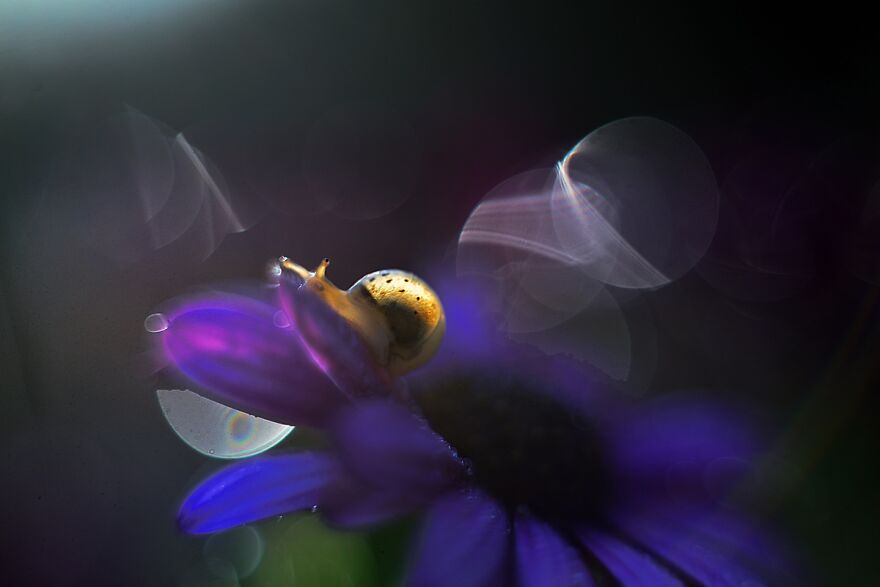 大自然的美景秋天摄影照片,美丽的大自然春夏秋冬图片大全
