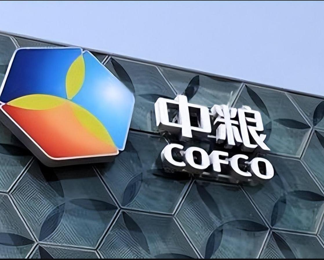 方便面王中王现状,王中王商业失败点