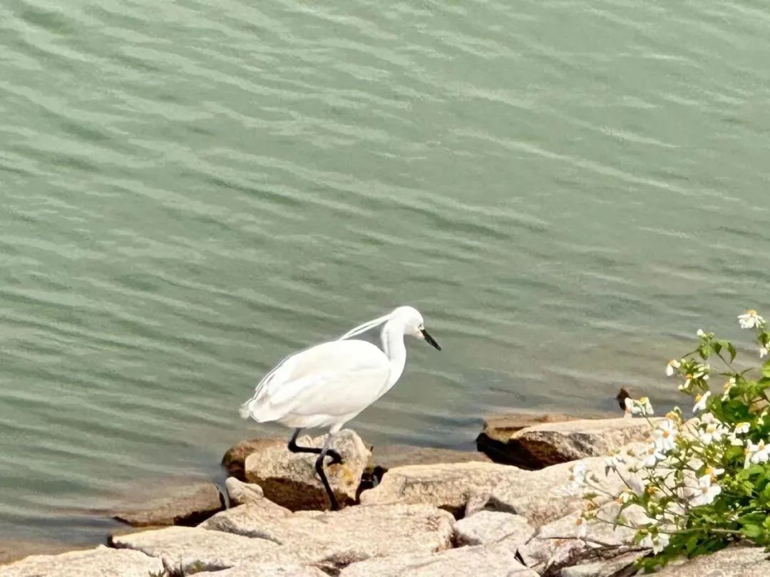 金门，我们在这边很想你