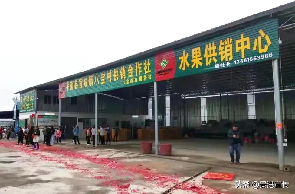 市供销合作社三农服务中心助增收,我为农民办实事