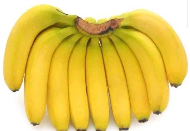 供应链行业观察,供应链视角分析