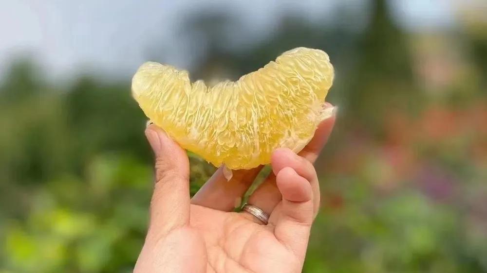 加盟水果店与自己进货哪个便宜,水果店加盟之后要自己进货吗