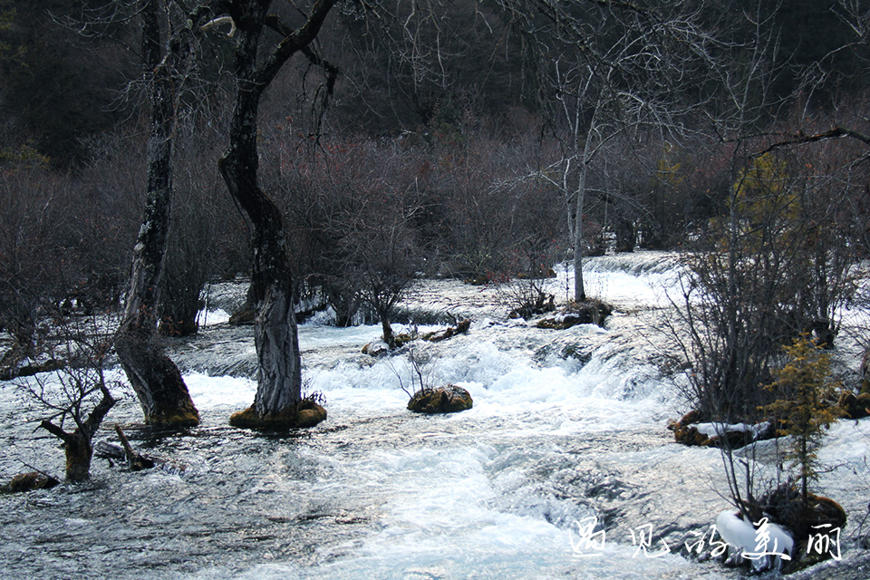 如果一生只去一个古城,一生去一次九寨沟