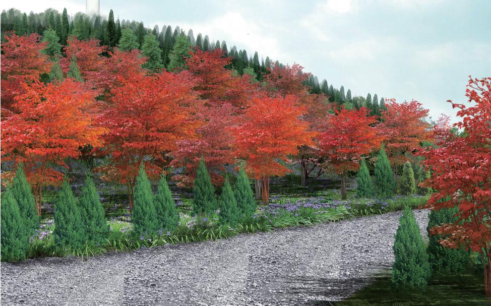 烟台开发区美景,烟台开发区地理景观有哪些