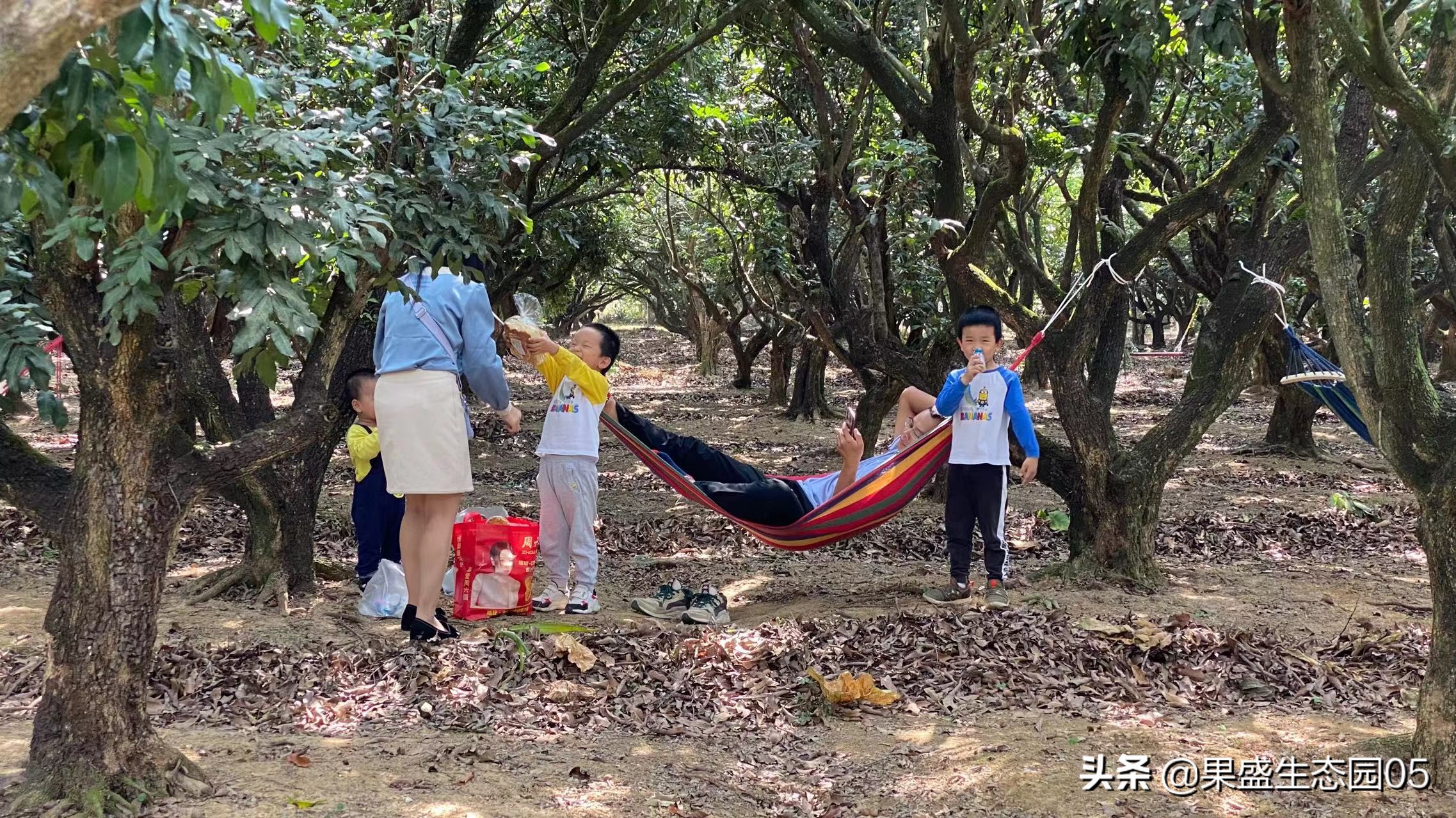 惠州带小孩去玩的农家乐,惠州亲子游十大排名农家乐