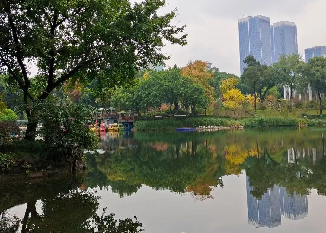 閲嶅簡9鍙风嚎鍦ㄥ皬榫欏潕鎬庝箞鎹箻1鍙风嚎,閲嶅簡鍦伴搧9鍙风嚎绾㈠博鏉戠珯4鍙峰嚭鍏ュ彛