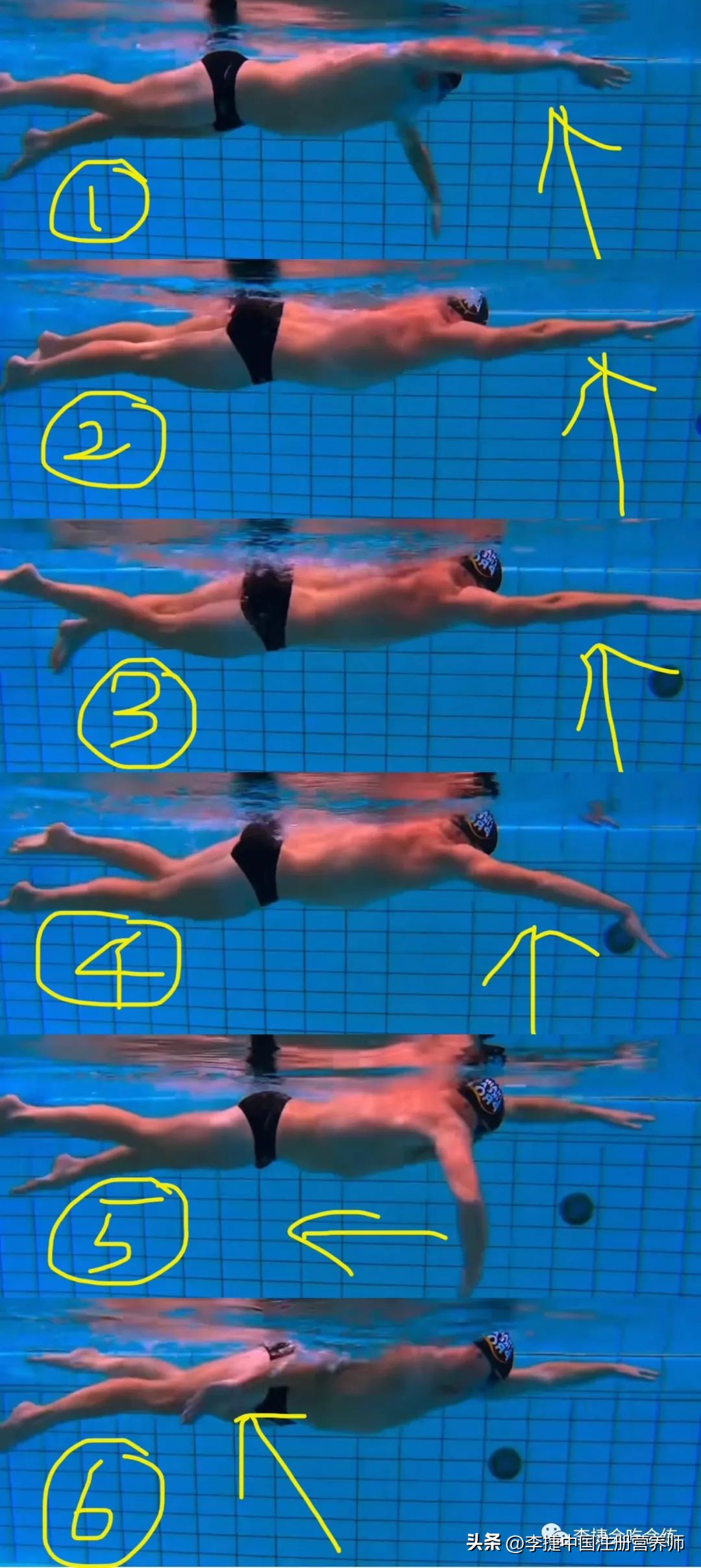 练习自由泳转身慢动作视频,视频自由泳技术动作对比分析