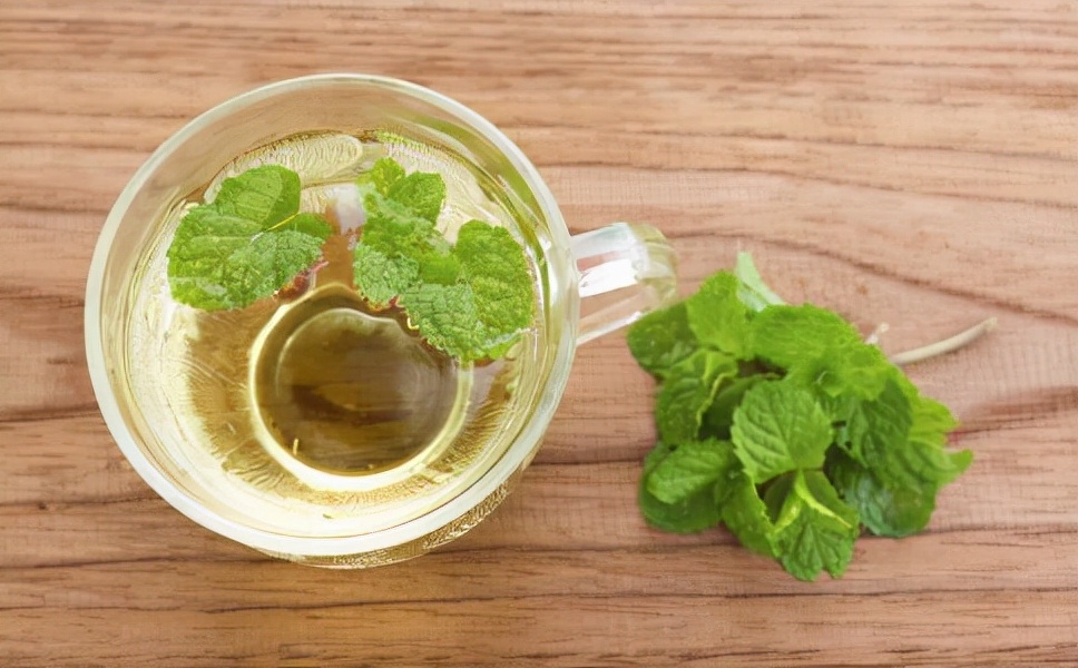 9种“健康花”,客厅一放,吸废气又高档,旺家更旺人