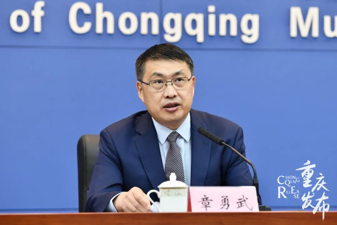 国际友人来重庆,国际友人到访中国