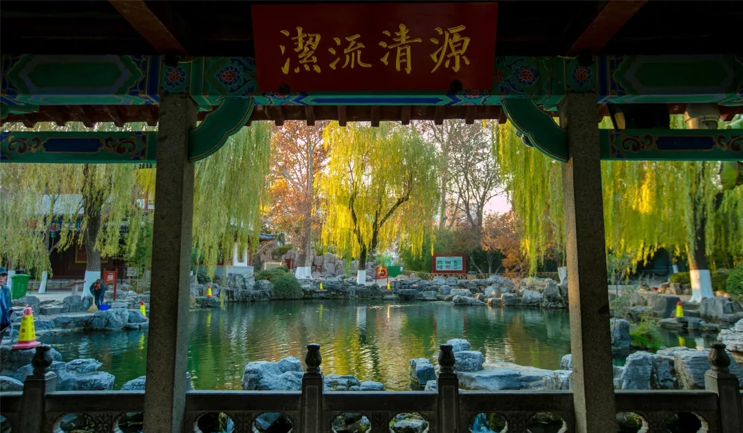 听泉声潺潺,看水映池柳!一起走近济南趵突泉公园白雪楼旁,消万斛愁的无忧泉