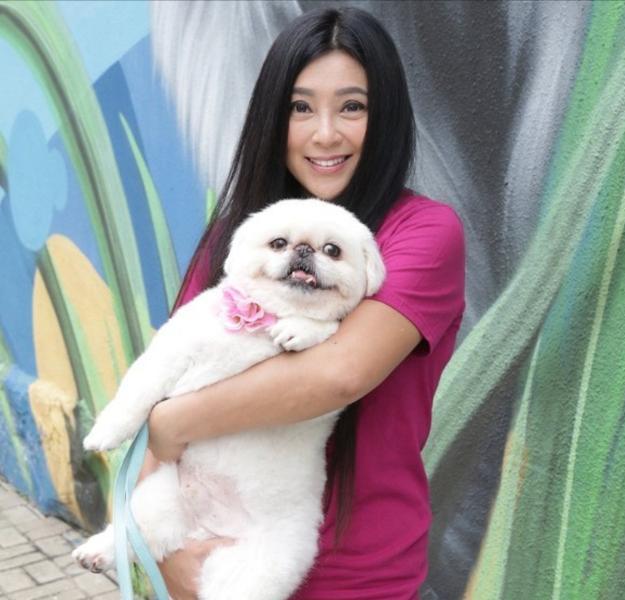 老演员整容脸变形,老年人整容前后照片