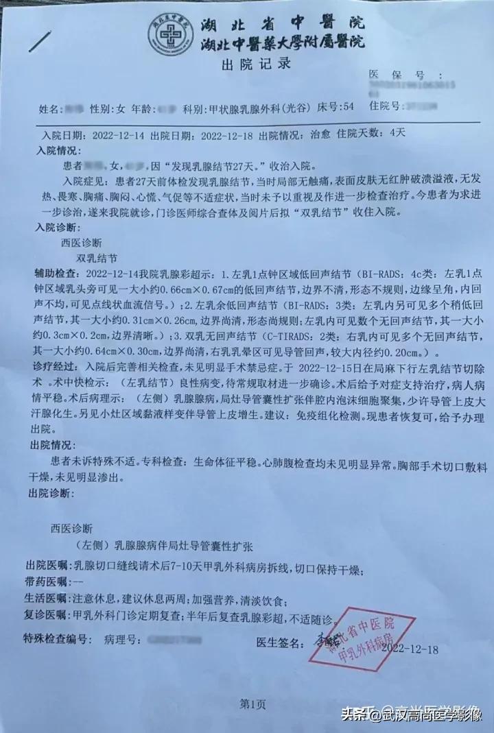 乳腺超声病例,乳腺肿块巨大超声结果4a