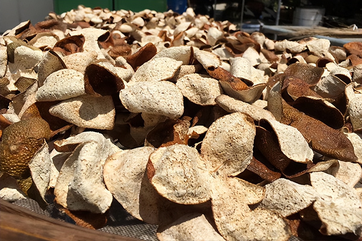 新会陈皮假的多吗,网上卖的新会陈皮是假的吗