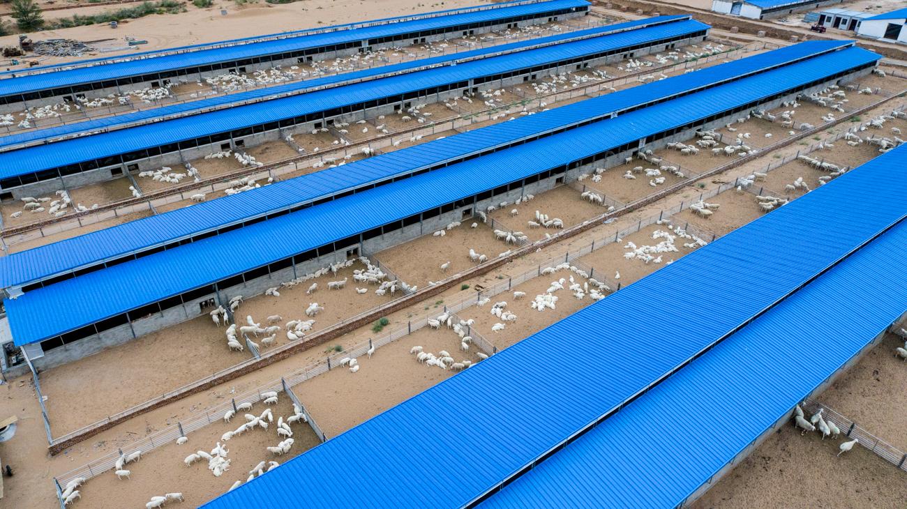 奋进新时代谱写新篇章感悟,古浪乡村振兴政策解读