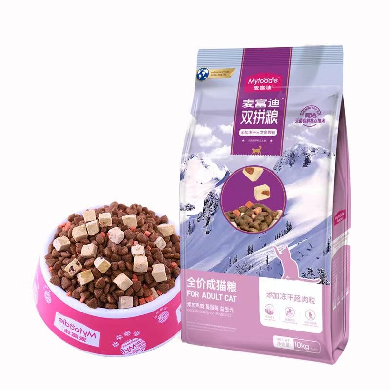 英短幼猫怎么看纯不纯,英短乳白怎么看纯不纯