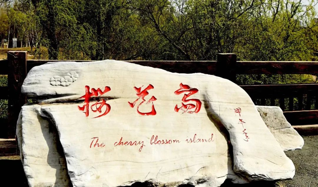 citywalk用脚步丈量城市,开启随性自由的citywalk