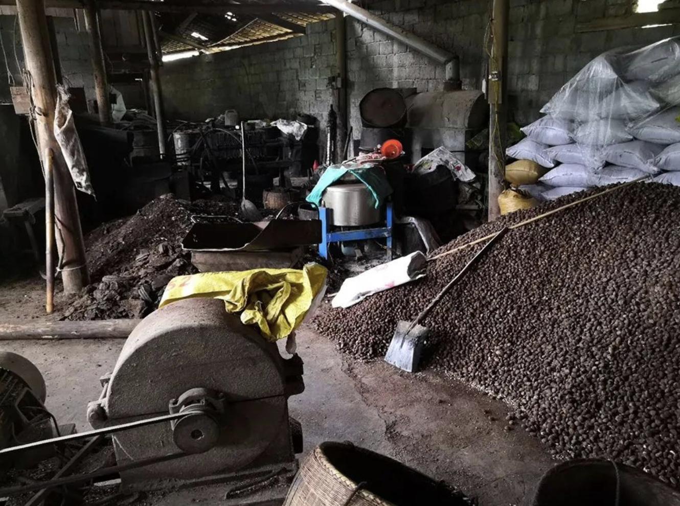 有毒性的野果,看似有毒却可食用的果实