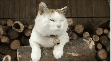 ZAKER石家庄早新闻 4.3 | 石家庄正太广场景观设计方案公示；新规落地，你的外卖“上锁”没；观花 这3条线路最佳