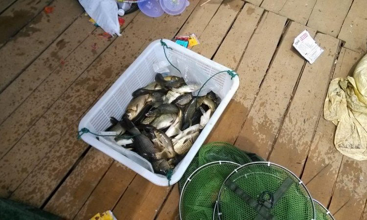 窝里有鱼不开口?不用急着收竿走人,有应对方法