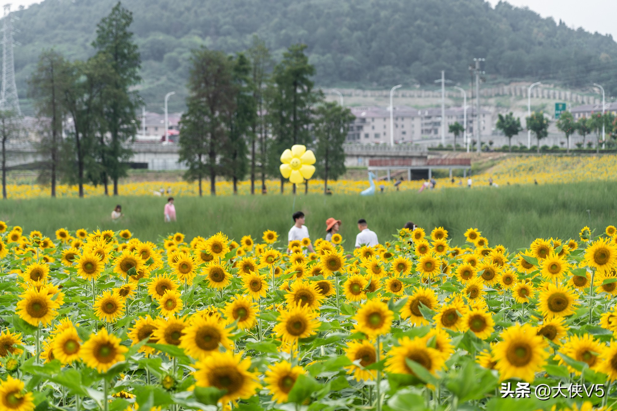 浙东唐诗名城新昌,在新昌邂逅浙东唐诗之路