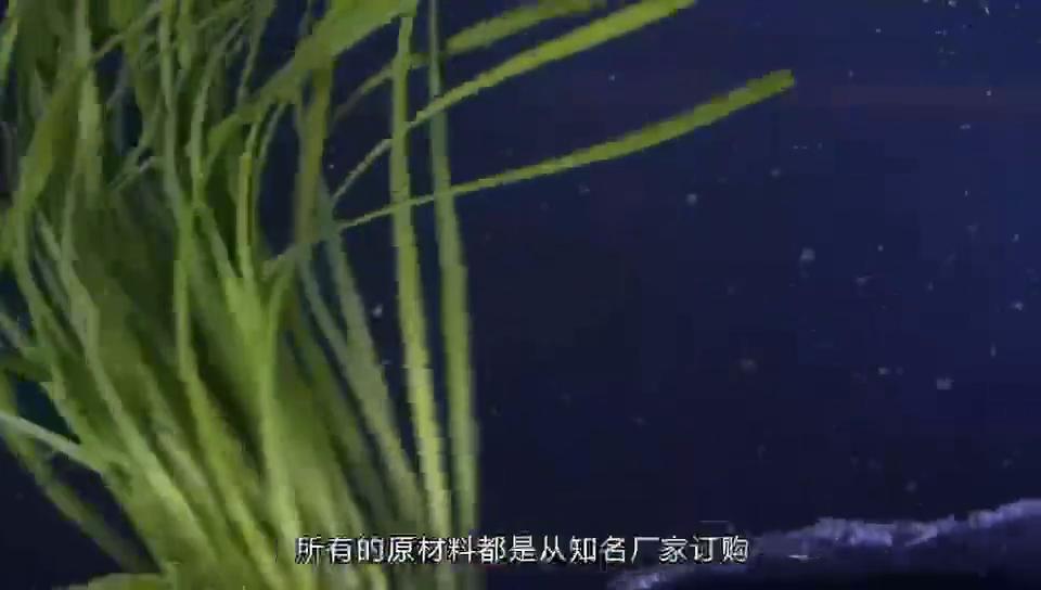 聂记：传承中国千年的饺子文化