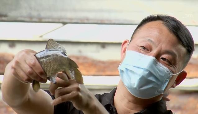 小伙养鱼一周赚100万,养鱼致富第二天目标赚十万