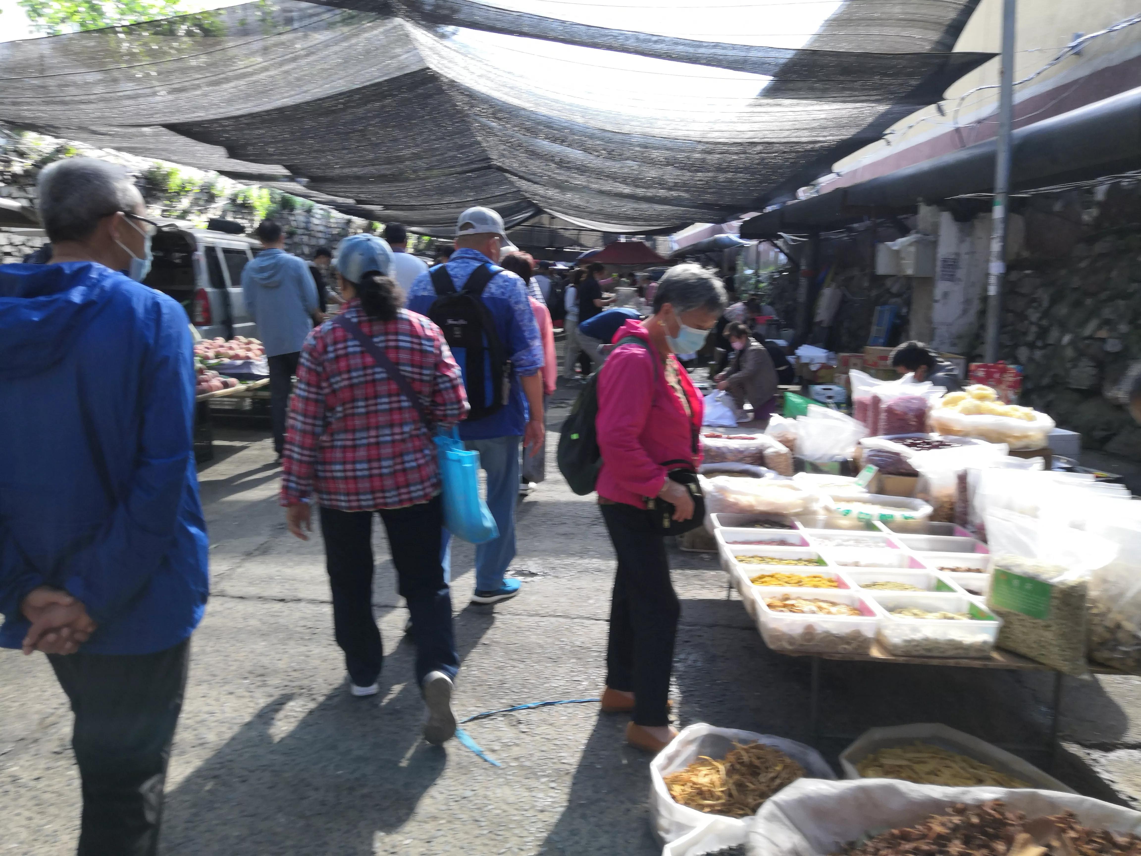 夜来风雨声花落知多少搞笑改编,夜来风雨声花落知多少的赏析