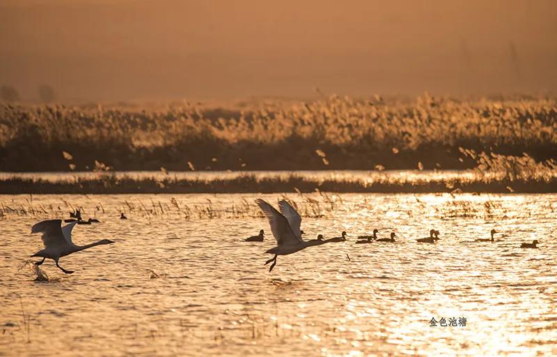 大气磅礴的震撼诗词,恢弘磅礴的诗词
