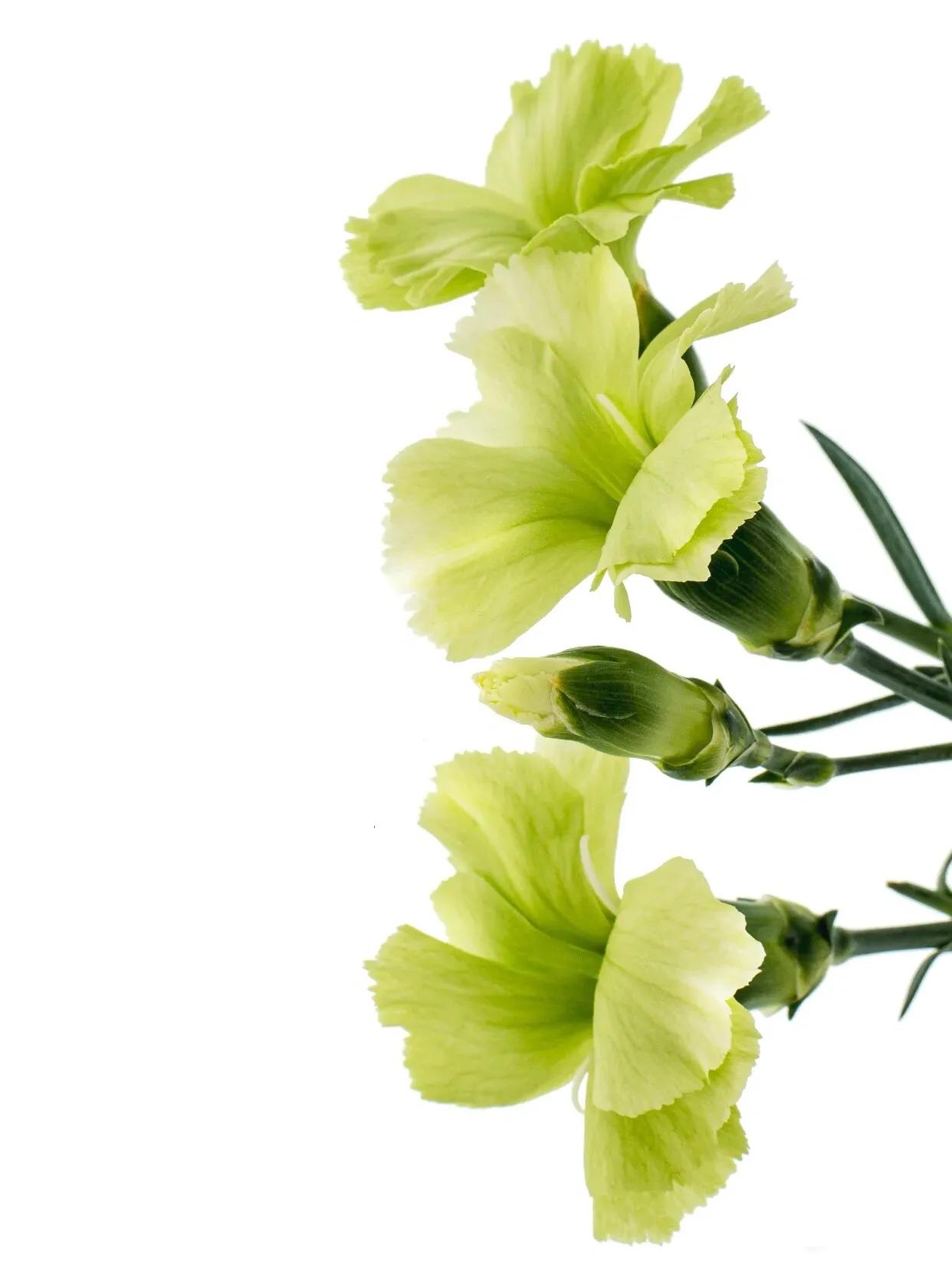 母亲节暖心文案给老婆,母亲节暖心文案