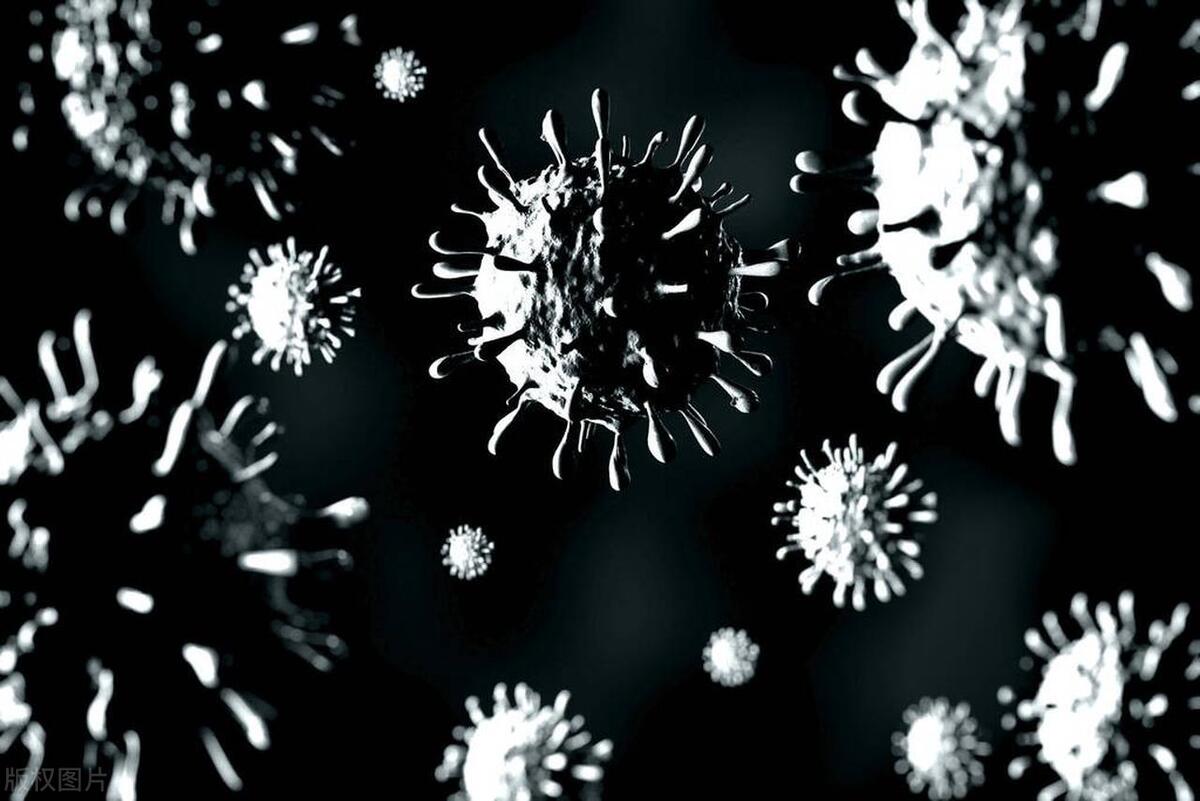 hpv的易感人群,hpv的易感因素