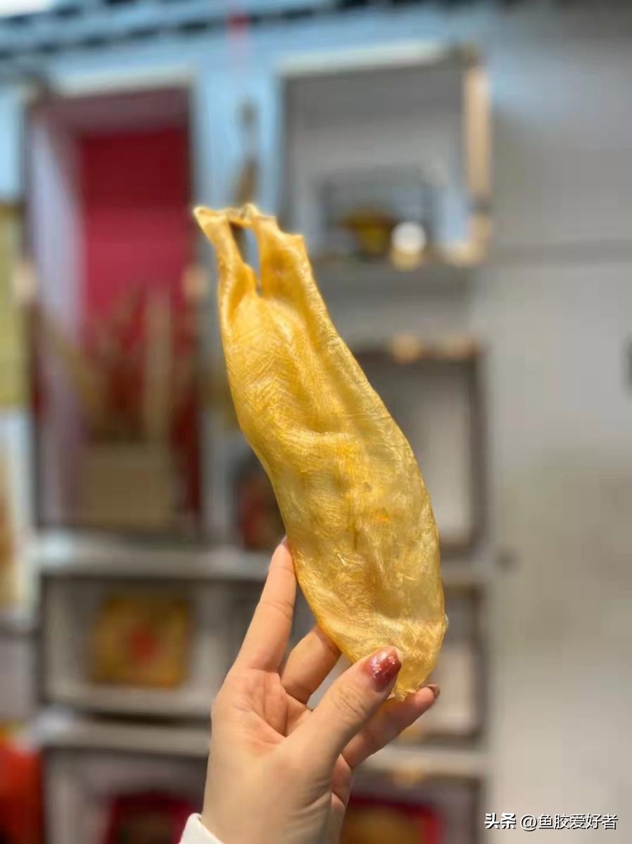 小价位的鱼胶哪些值得买,鱼胶哪一款比较好