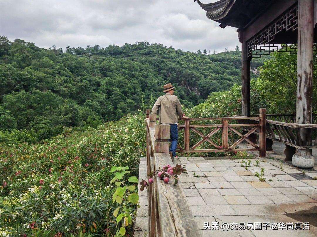 我的交易策略完整版,我的交易方法