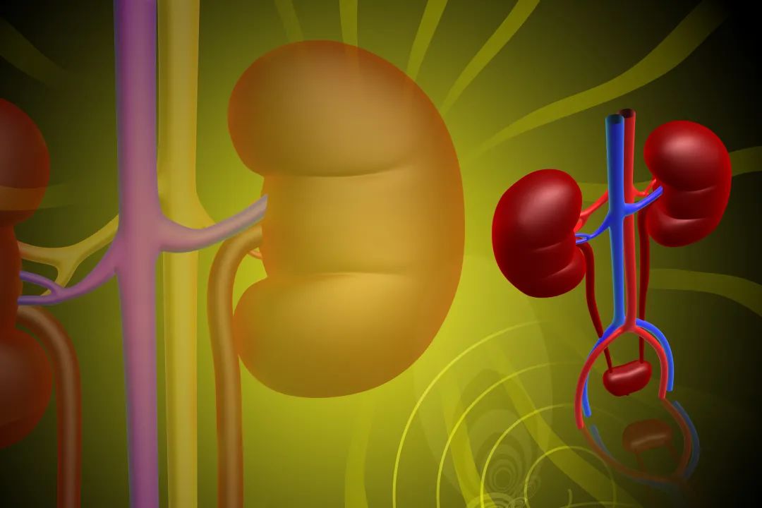 急性肾衰竭血肌酐一直升高,血肌酐和肾功肌酐是一回事吗