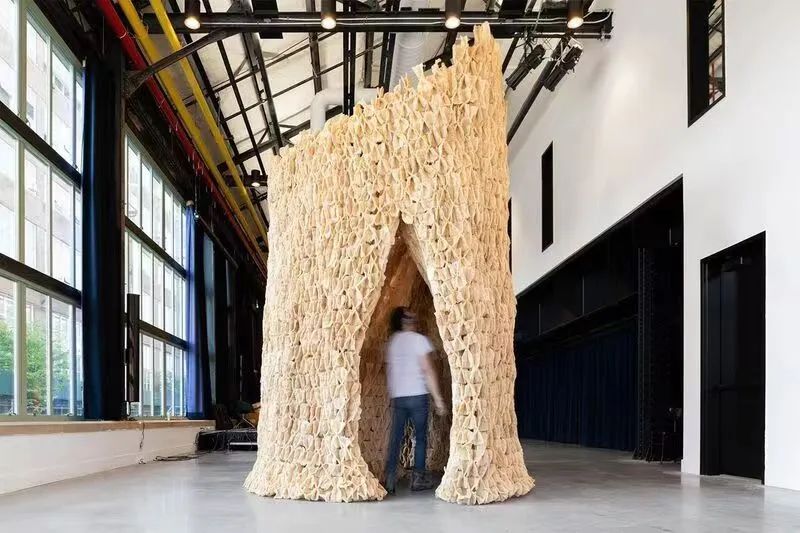 未之头条：重新认识霉菌，它除了变牛排还能盖房子