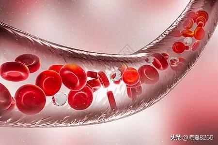 恐龙血型是个什么血型呢？