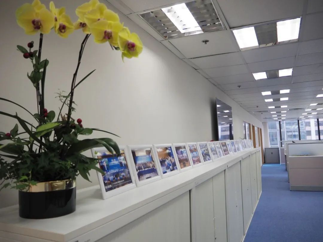 CCG在香港中环环球大厦启动CCG香港委员会办公室