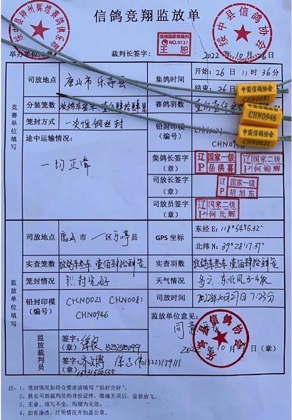 辽宁神州辉煌公棚300公里成绩,神州辉煌决赛归巢