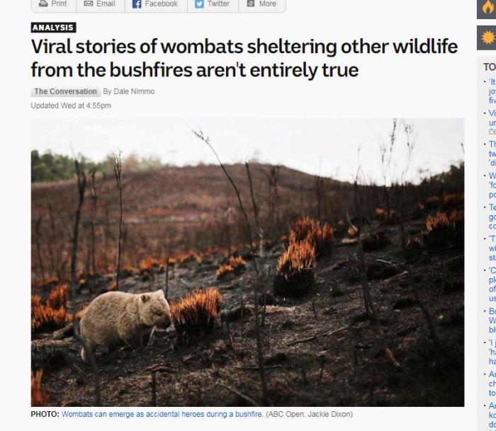 澳洲动物喂宝宝,哪种动物用粪便喂宝宝
