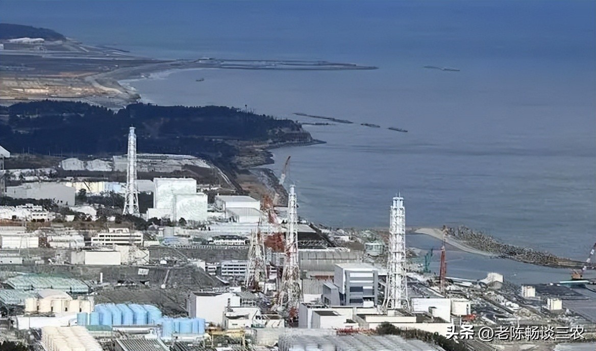 日本产品检测出放射性食品,日本食品农残被检测出来了